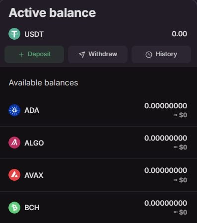 Billetera de Cloudbet con saldo en USDT y opciones de depósito en múltiples criptomonedas